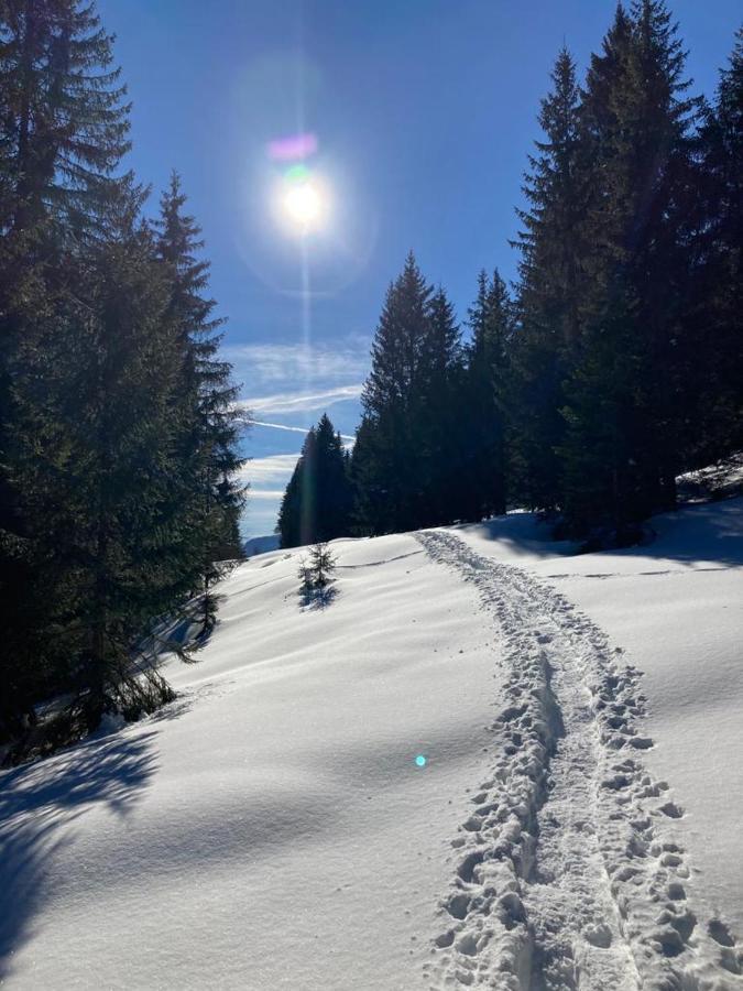 Apartment Kumitzblick Obersdorf ภายนอก รูปภาพ