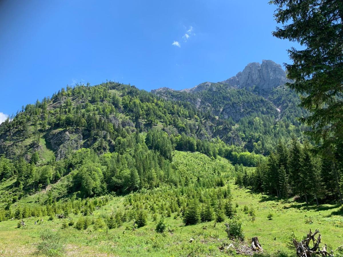 Apartment Kumitzblick Obersdorf ภายนอก รูปภาพ